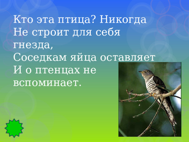 Кто эта птица? Никогда Не строит для себя гнезда, Соседкам яйца оставляет И о птенцах не вспоминает. 