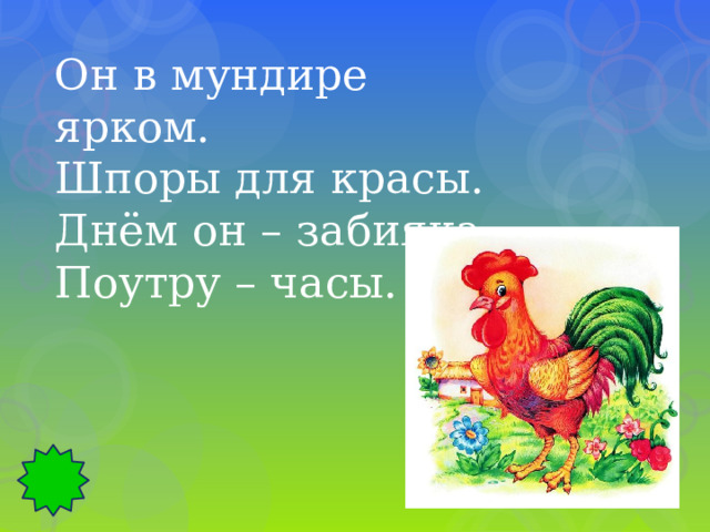Он в мундире ярком. Шпоры для красы. Днём он – забияка, Поутру – часы. 