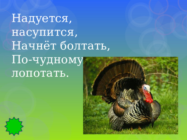 Надуется, насупится, Начнёт болтать, По-чудному лопотать. 