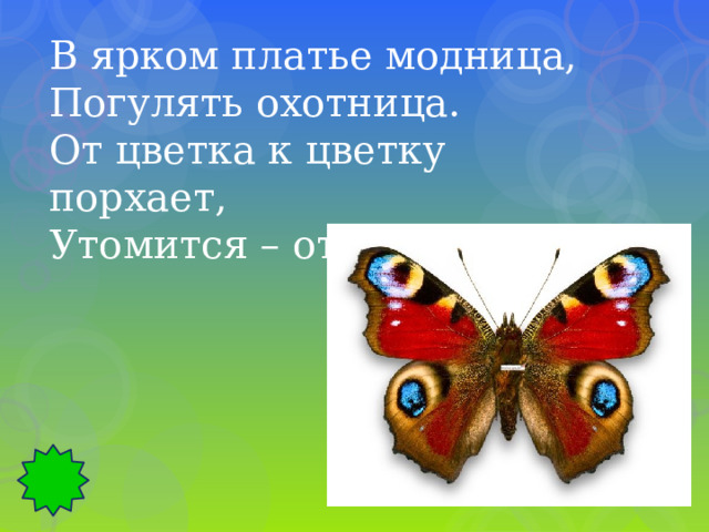 В ярком платье модница, Погулять охотница. От цветка к цветку порхает, Утомится – отдыхает. 