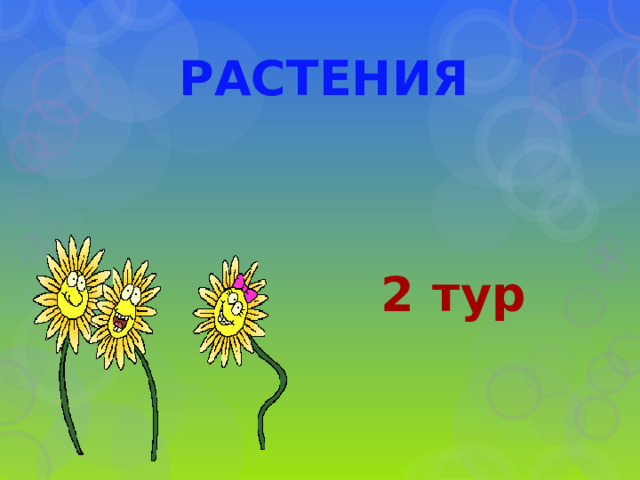 РАСТЕНИЯ 2 тур 