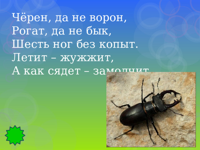 Чёрен, да не ворон, Рогат, да не бык, Шесть ног без копыт. Летит – жужжит, А как сядет – замолчит. 