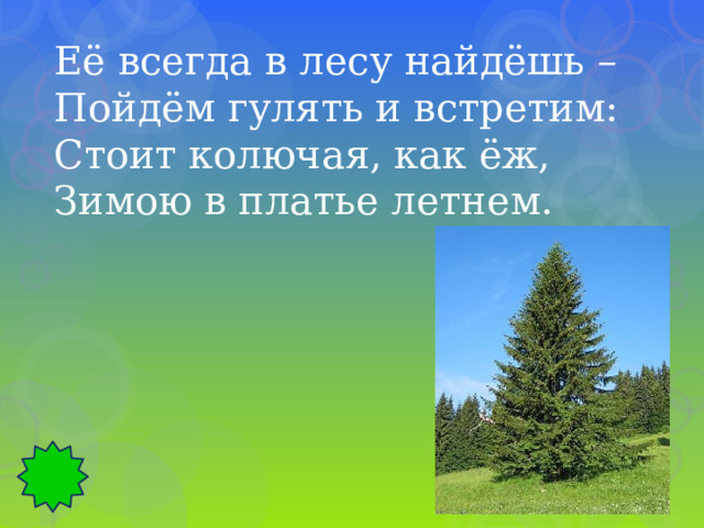 Её всегда в лесу найдёшь – Пойдём гулять и встретим: Стоит колючая, как ёж, Зимою в платье летнем. 