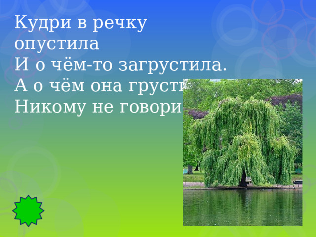 Кудри в речку опустила И о чём-то загрустила. А о чём она грустит, Никому не говорит. 