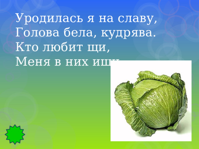 Уродилась я на славу, Голова бела, кудрява. Кто любит щи, Меня в них ищи. 