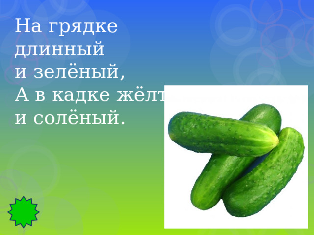 На грядке длинный и зелёный, А в кадке жёлтый и солёный. 