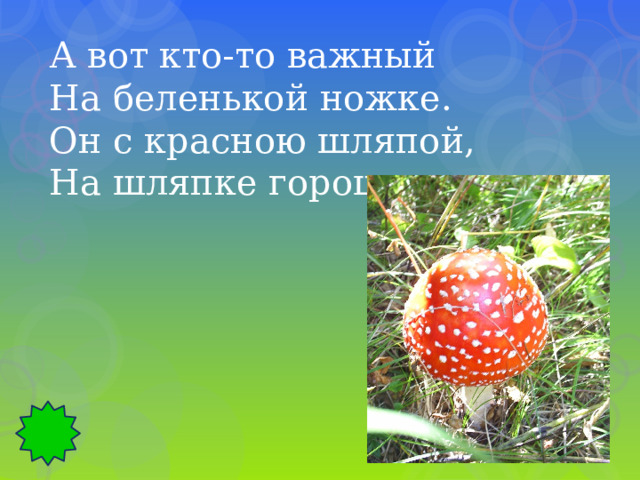 А вот кто-то важный На беленькой ножке. Он с красною шляпой, На шляпке горошки. 