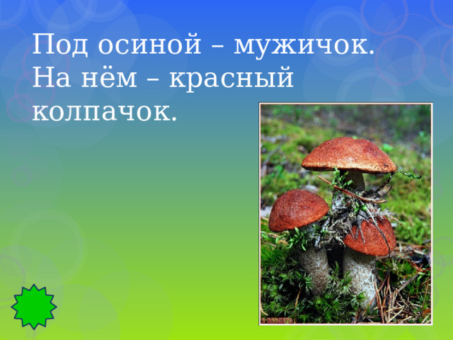 Под осиной – мужичок. На нём – красный колпачок. 
