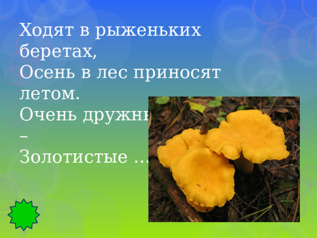 Ходят в рыженьких беретах, Осень в лес приносят летом. Очень дружные сестрички – Золотистые … 