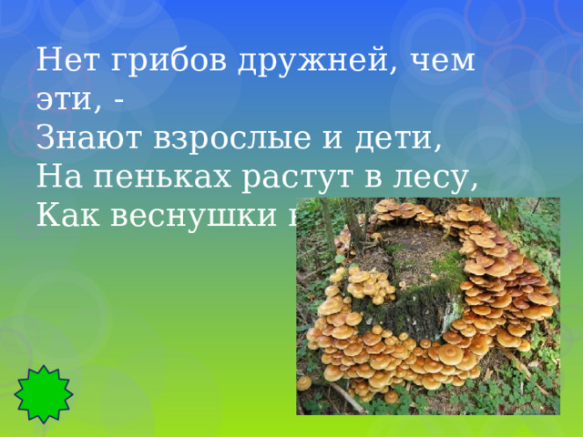 Нет грибов дружней, чем эти, - Знают взрослые и дети, На пеньках растут в лесу, Как веснушки на носу. 