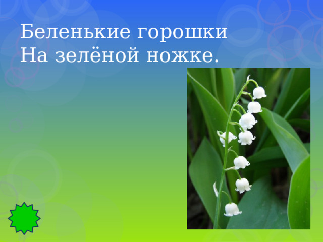 Беленькие горошки На зелёной ножке. 