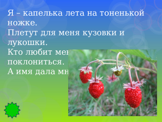 Я – капелька лета на тоненькой ножке. Плетут для меня кузовки и лукошки. Кто любит меня, тот и рад поклониться. А имя дала мне родная землица. 