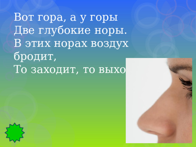 Вот гора, а у горы Две глубокие норы. В этих норах воздух бродит, То заходит, то выходит. 