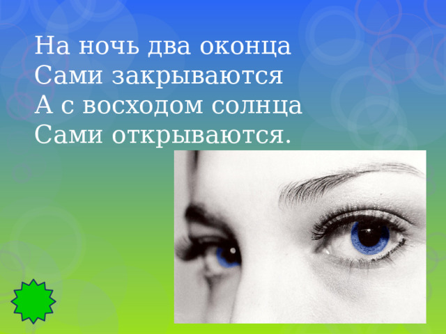 На ночь два оконца Сами закрываются А с восходом солнца Сами открываются. 