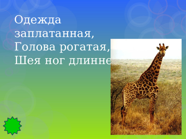 Одежда заплатанная, Голова рогатая, Шея ног длиннее. 