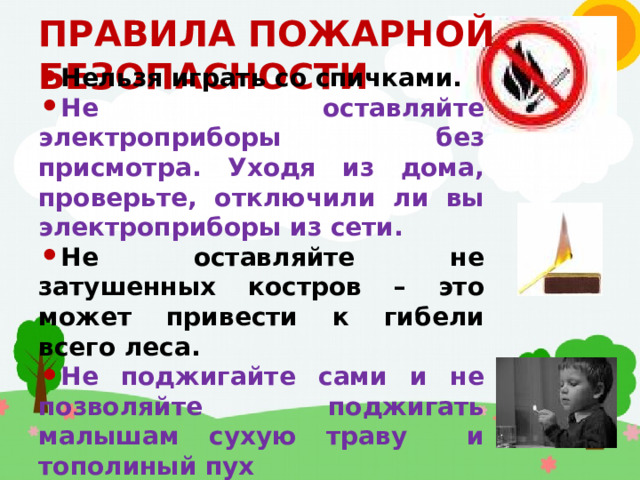ПРАВИЛА ПОЖАРНОЙ БЕЗОПАСНОСТИ Нельзя играть со спичками. Не оставляйте электроприборы без присмотра. Уходя из дома, проверьте, отключили ли вы электроприборы из сети. Не оставляйте не затушенных костров – это может привести к гибели всего леса. Не поджигайте сами и не позволяйте поджигать малышам сухую траву и тополиный пух 