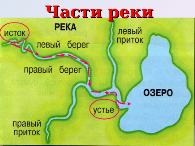Части реки 