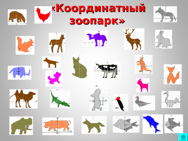 «Координатный зоопарк» 