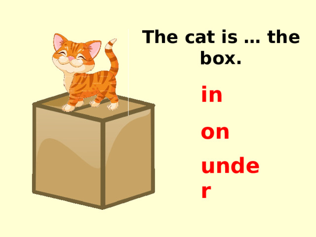 The cat is … the box. in on under 