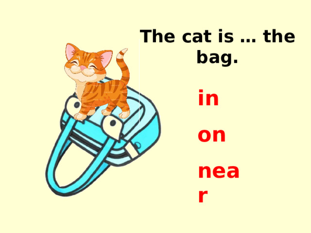 The cat is … the bag. in on near 