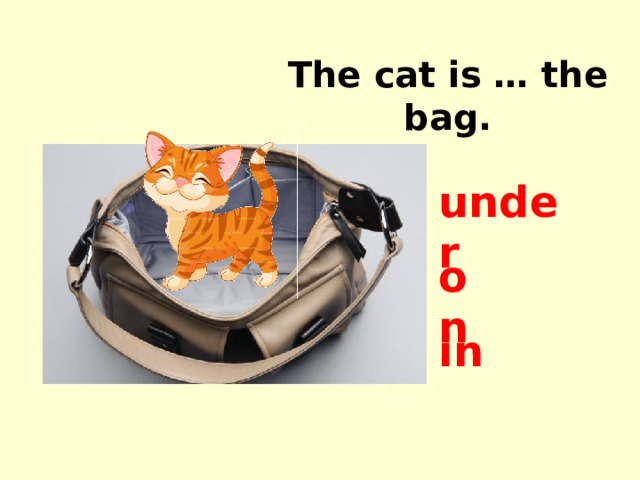 The cat is … the bag. under on in 