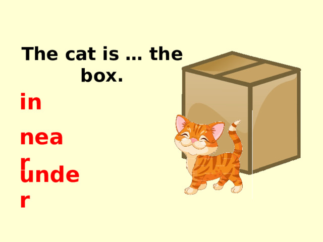 The cat is … the box. in near under 