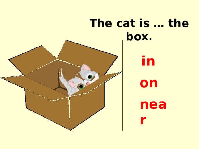 The cat is … the box. in on near 