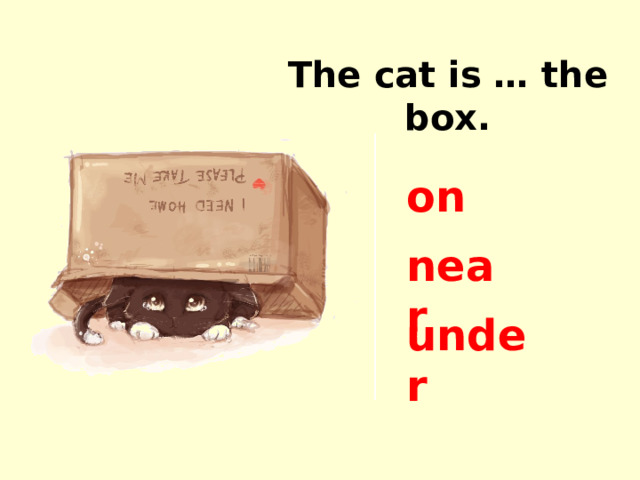 The cat is … the box. on near under 