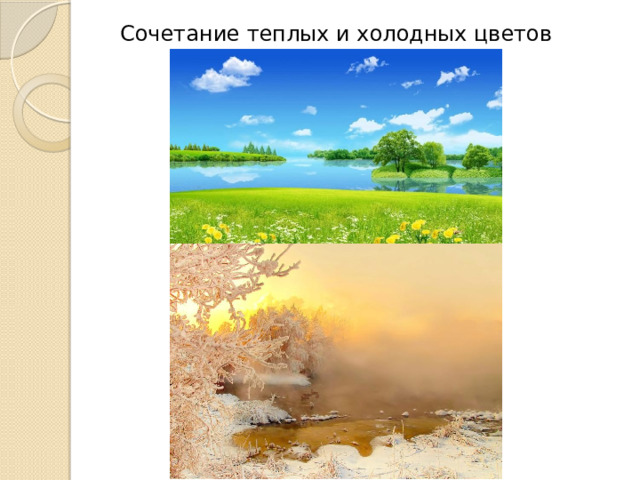 Сочетание теплых и холодных цветов 