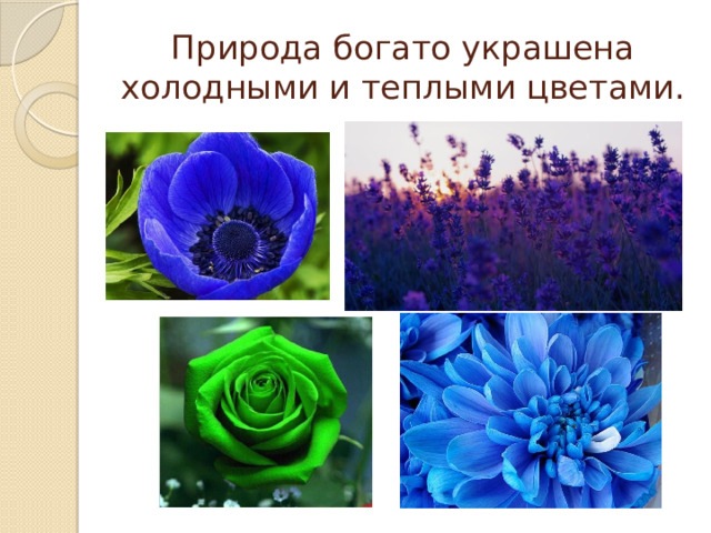 Природа богато украшена холодными и теплыми цветами. 