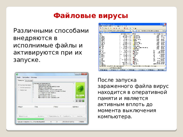 Файловые вирусы Различными способами внедряются в исполнимые файлы и активируются при их запуске. После запуска зараженного файла вирус находится в оперативной памяти и является активным вплоть до момента выключения компьютера. 