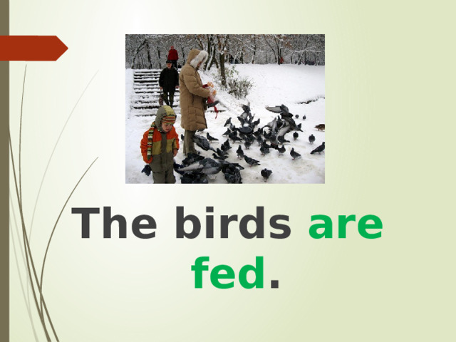 The birds are fed . 