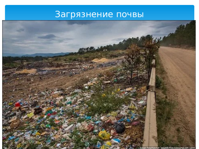 Загрязнение почвы 