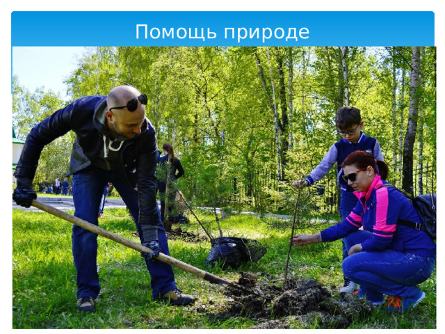 Помощь природе 