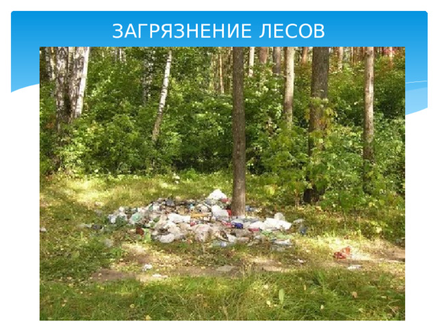 ЗАГРЯЗНЕНИЕ ЛЕСОВ 