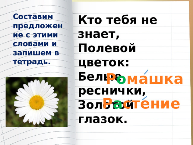 Составим предложение с этими словами и запишем в тетрадь. Кто тебя не знает, Полевой цветок: Белые реснички, Золотой глазок. Р о машка Р а стение 