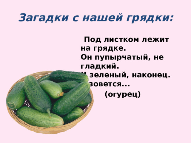Загадки с нашей грядки:  Под листком лежит на грядке.  Он пупырчатый, не гладкий.  И зеленый, наконец.  А зовется...  (огурец) 