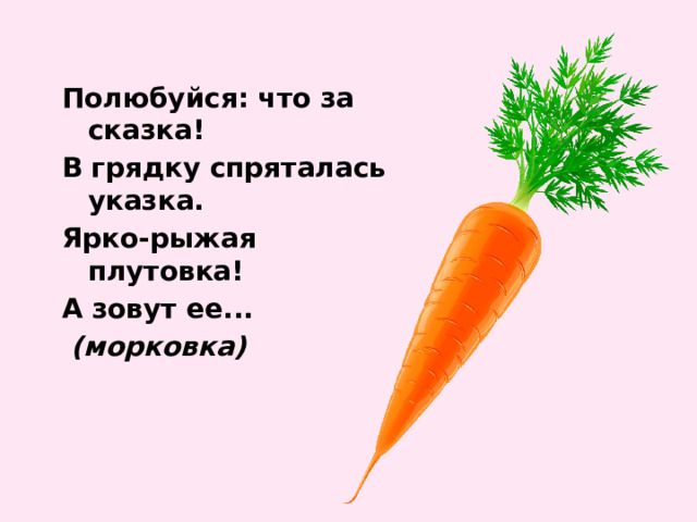 Полюбуйся: что за сказка! В грядку спряталась указка. Ярко-рыжая плутовка! А зовут ее...  (морковка) 