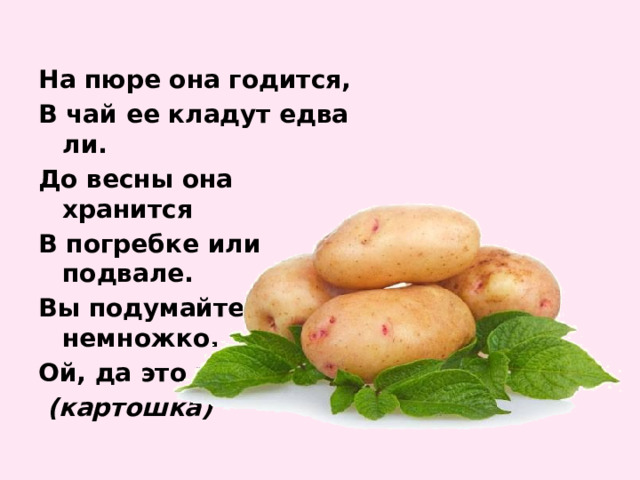 На пюре она годится, В чай ее кладут едва ли. До весны она хранится В погребке или подвале. Вы подумайте немножко. Ой, да это же...  (картошка) 