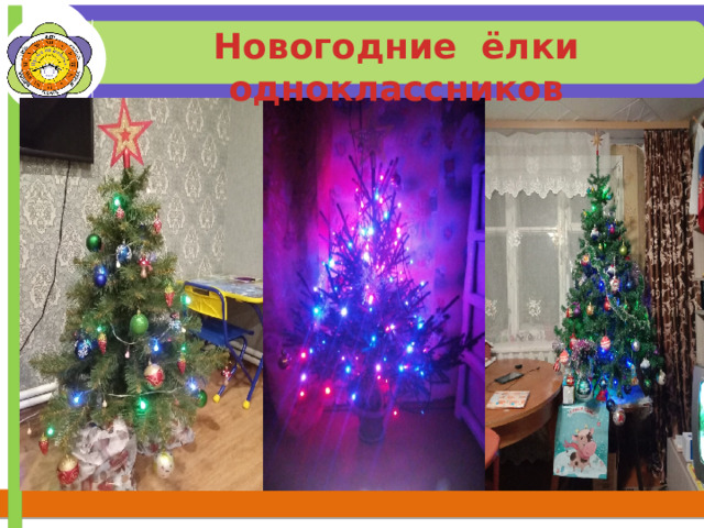 Новогодние ёлки одноклассников 