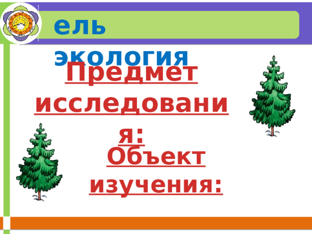  Объект изучения: ель экология Предмет исследования: 