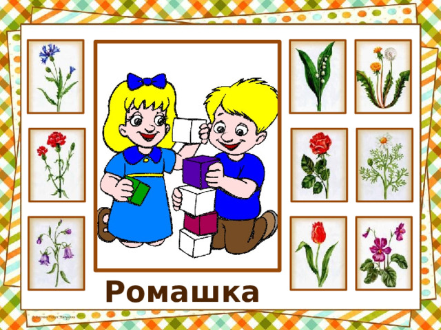 Ромашка 