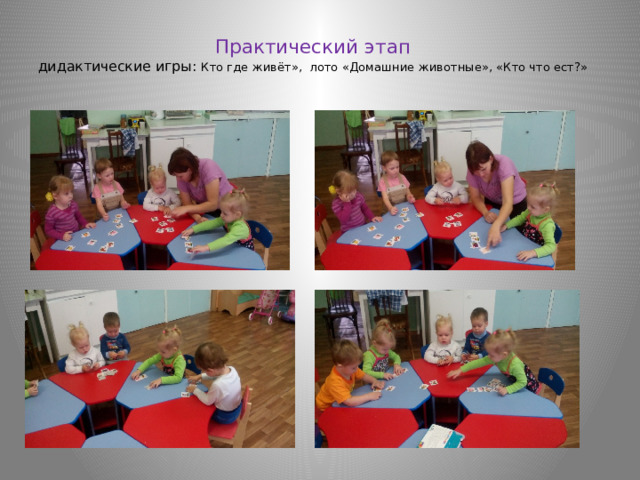 Практический этап  дидактические игры: Кто где живёт», лото «Домашние животные», «Кто что ест?»   