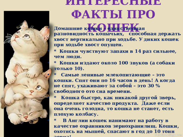 ИНТЕРЕСНЫЕ ФАКТЫ ПРО КОШЕК Домашние кошки – единственная разновидность кошачьих, способная держать хвост вертикально при ходьбе. У диких кошек при ходьбе хвост опущен. * Кошки чувствуют запахи в 14 раз сильнее, чем люди. * Кошки издают около 100 звуков (а собаки только 10). * Самые ленивые млекопитающие – это кошки. Спят они по 16 часов в день! А когда не спят, ухаживают за собой – это 30 % свободного ото сна времени. * Кошка быстро, как никакой другой зверь, определяет качество продукта. Даже если она очень голодна, то кошка не станет, есть плохую колбасу. * В Англии кошек нанимают на работу в качестве охранников зернохранилищ. Кошки, охотясь на мышей, спасают в год до 10 тонн зерна!  * Японцы придумали переводчик с кошачьего языка. «Мяулингвал» - так называется устройство. Он способен различать и анализировать мяуканье и урчанье 14 пород. Эти звуки сортируются в памяти компьютера, и выдаётся фраза, которая примерна тому, что хочет «сказать» кошка. 