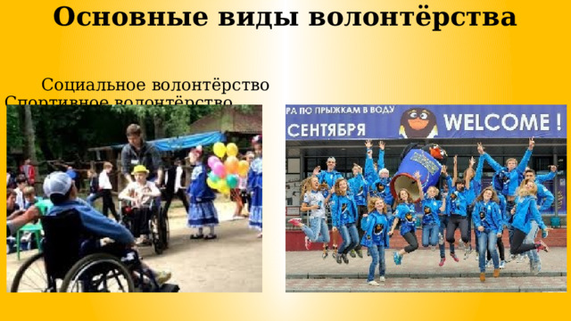 Основные виды волонтёрства  Социальное волонтёрство Спортивное волонтёрство 