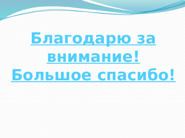 Благодарю за внимание!  Большое спасибо! 