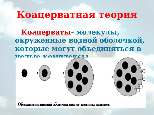 Коацерватная теория   Коацерваты - молекулы, окруженные водной оболочкой, которые могут объединяться в целые комплексы. 