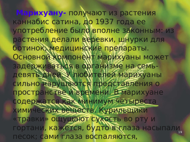  Марихуану-  получают из растения каннабис сатина, до 1937 года ее употребление было вполне законным: из растения делали веревки, шнурки для ботинок, медицинские препараты. Основной компонент марихуаны может задерживаться в организме на семь-девять дней. У любителей марихуаны сильно нарушаются представления о пространстве и времени. В марихуане содержатся как минимум четыреста химических веществ. Курильщики «травки» ощущают сухость во рту и гортани, кажется, будто в глаза насыпали песок; сами глаза воспаляются, ухудшается па­мять, координация, появляется зверский аппетит. 4 