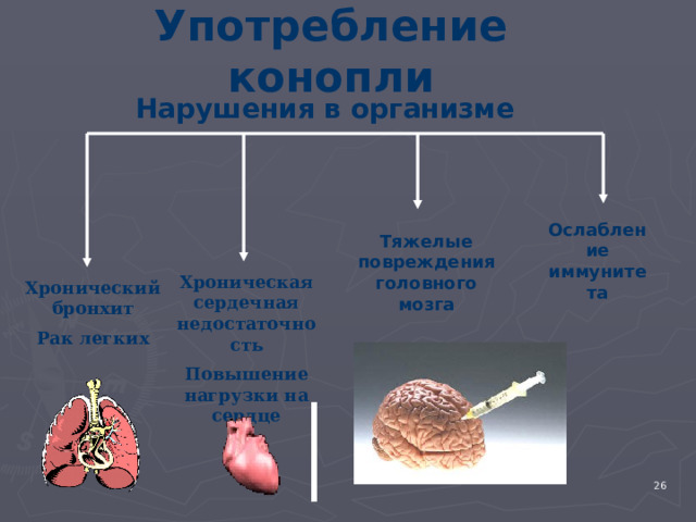 Употребление конопли Нарушения в организме Ослабление иммунитета Тяжелые повреждения головного мозга Хроническая сердечная недостаточность Повышение нагрузки на сердце Хронический бронхит Рак легких 4 