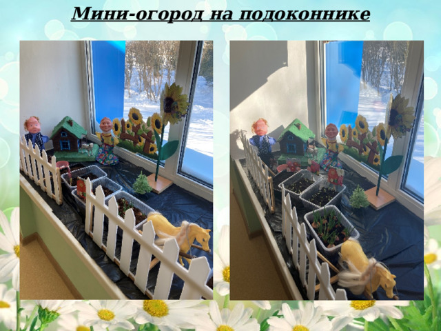 Мини-огород на подоконнике 